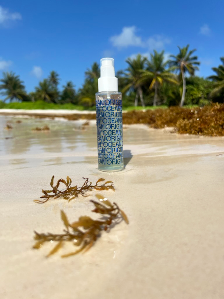 1c-9B636D93-FE9D-4627-9B94-B359D779F811_1_105_c-edited-1