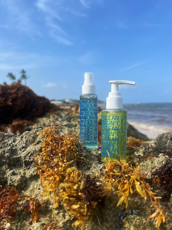 Origin by Ocean ingredients in cosmetic applications and sargassum