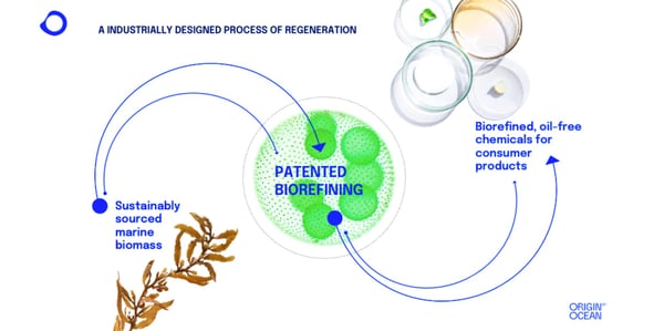 Biorefining process