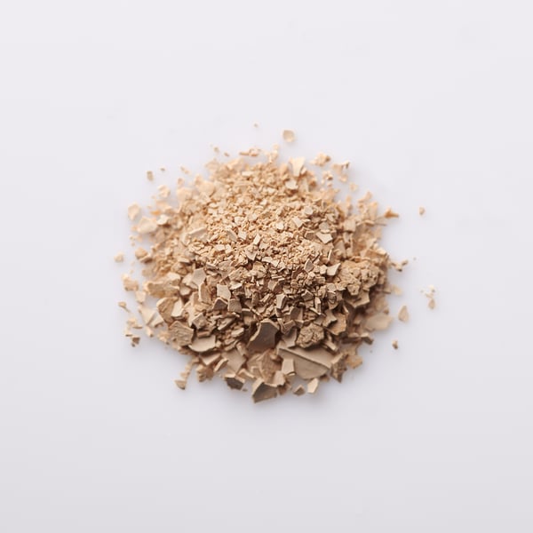OceanBoost™ – Origin by Ocean fucoidan