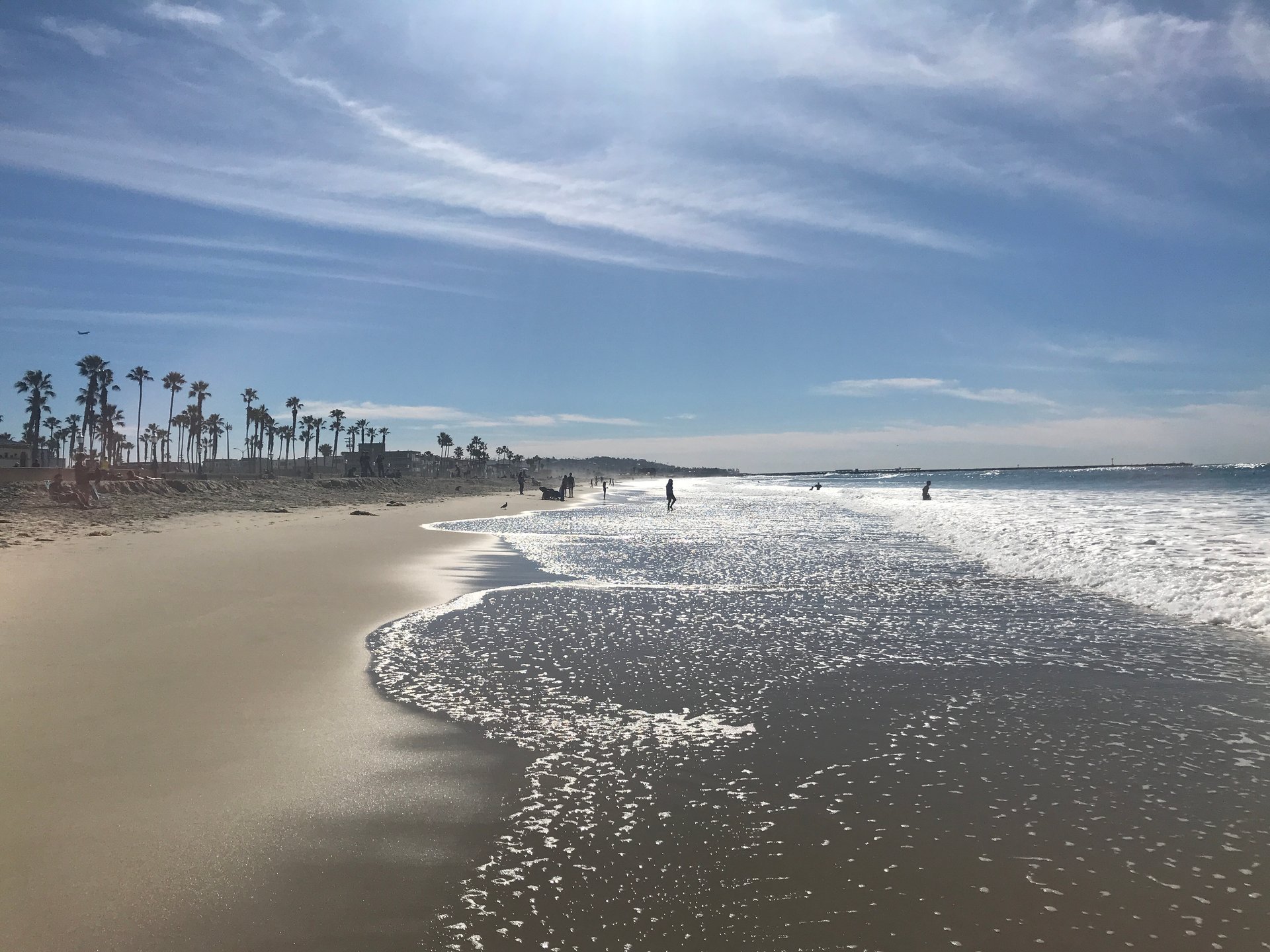 Origin by Ocean and Fundación Puntacana Partner to Develop Sustainable Sargassum Supply Chain in the Dominican Republic