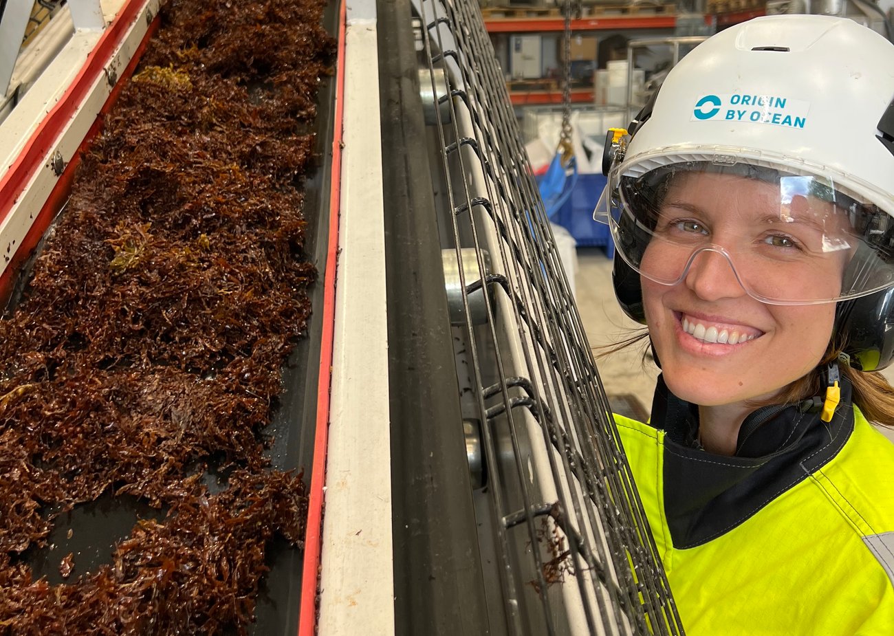 The first step in biorefining seaweed