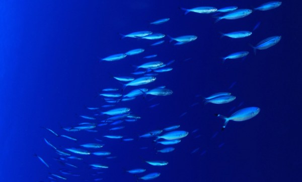 newsletter-2023-08_12