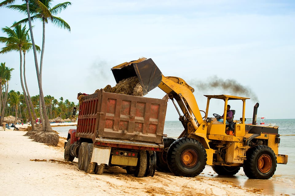 ObO_Harvesting-seaweed-2