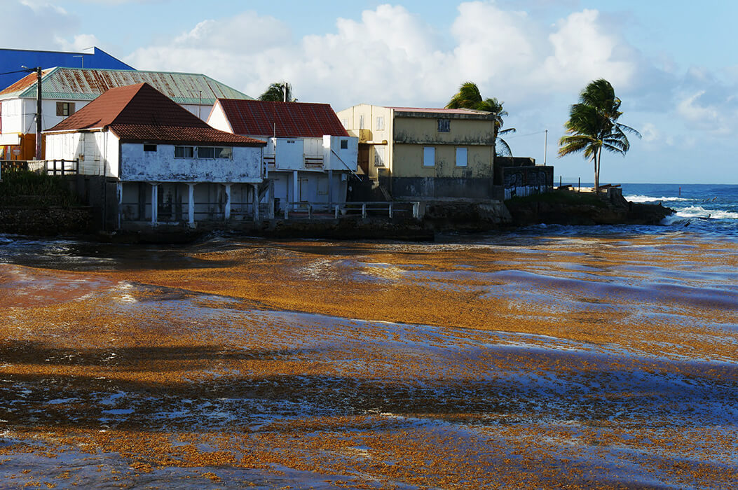 About us Origin by Ocean