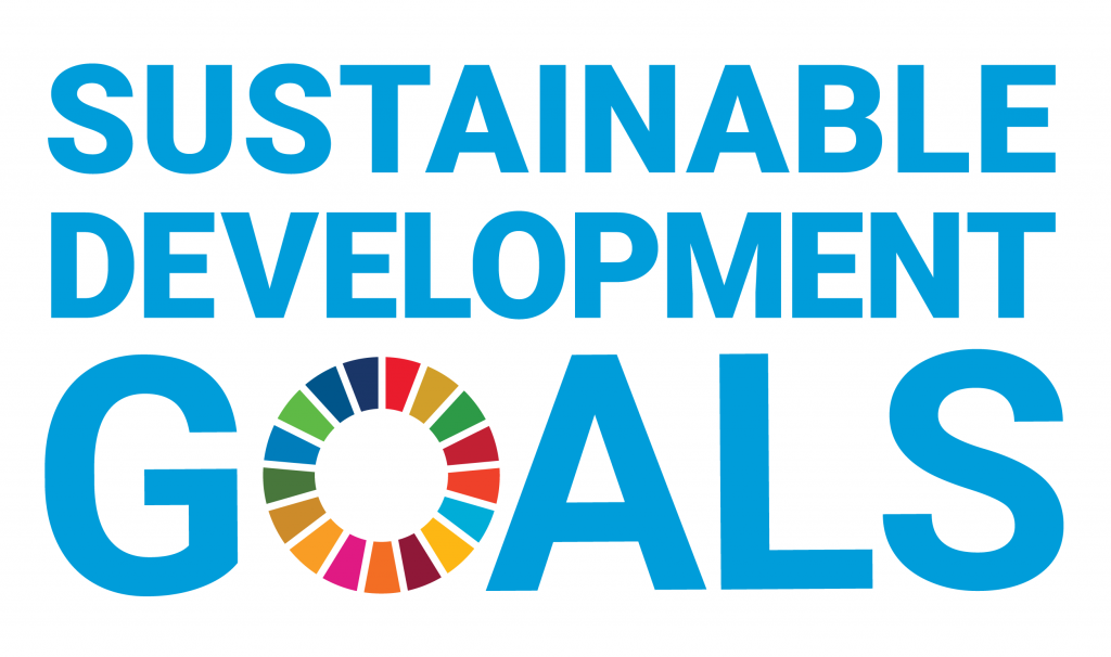 Building a business based on the UN Sustainable Development Goals?