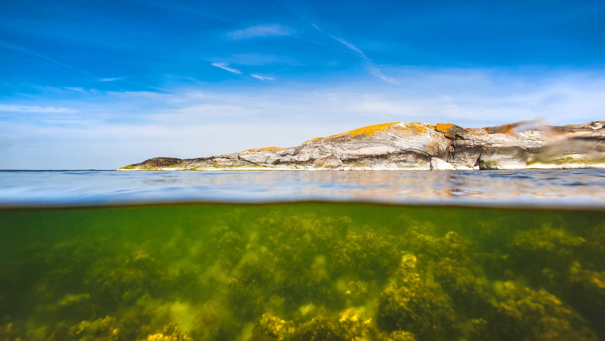 Origin_by_Ocean_Academy_Baltic_Sea
