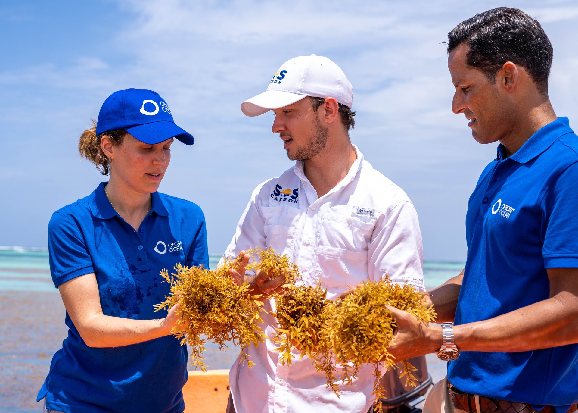 Washing the coasts of the Dominican Republic