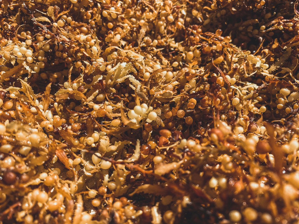 naja-bertolt-jensen-ld9PgJUAicM-unsplash-edited