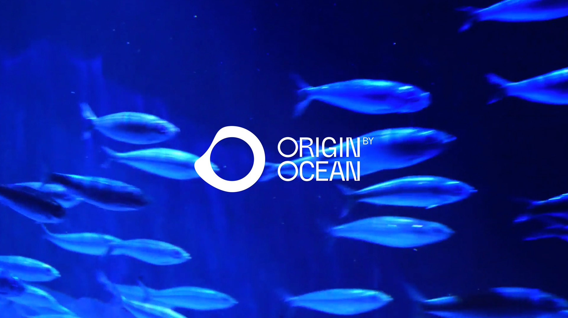その他 Oceans Origins [Blu-ray] [Import] 6g7v4d0 Amazon.co.jp: Ocean Waves Blu-ray/DVD : 本